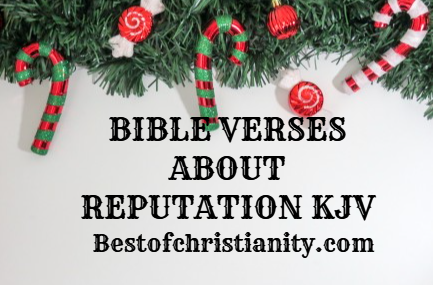 Bible Verses About Reputation KJV