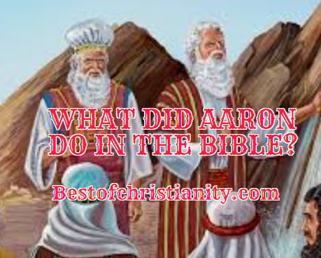 What Did Aaron Do In The Bible