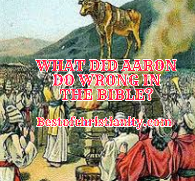 What Did Aaron Do Wrong In The Bible