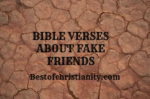 Bible Verses About Fake Friends