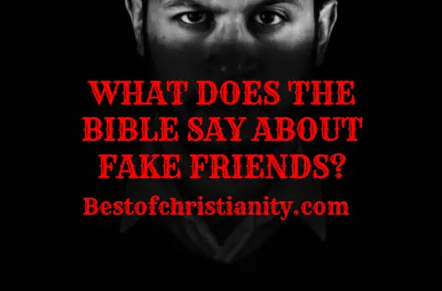 What Does The Bible Say About Fake Friends