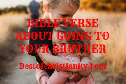 Bible Verse About Going To Your Brother