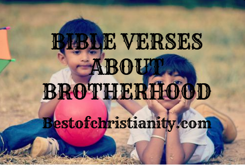 Bible Verses About Brotherhood