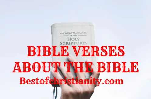 Bible Verses About The Bible