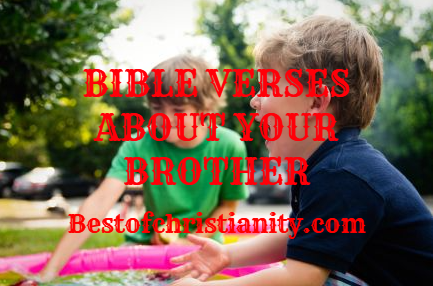 Bible Verses About Your Brother