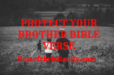 Protect Your Brother Bible Verse