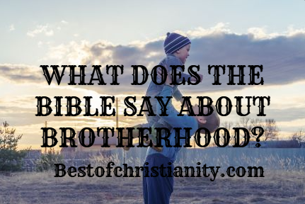 What Does The Bible Say About Brotherhood