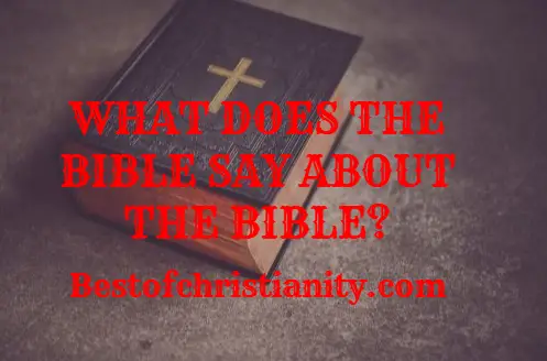 What Does The Bible Say About The Bible?