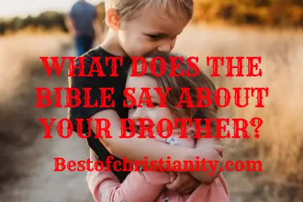 What Does The Bible Say About Your Brother