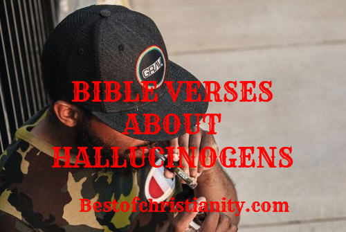 Bible Verses About Hallucination