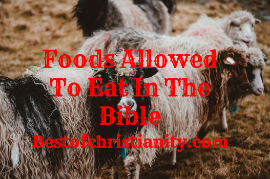 Foods Allowed To Eat In The Bible