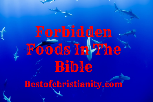 Forbidden Foods In The Bible