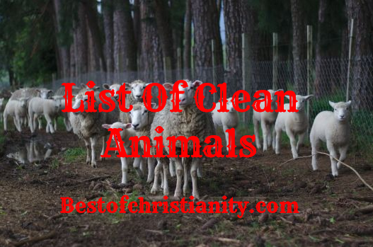 List Of Clean Animals