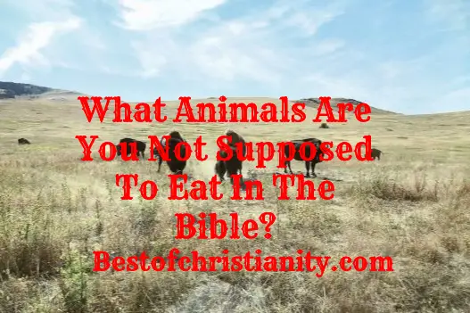 What Animals Are You Not Supposed To Eat In The Bible