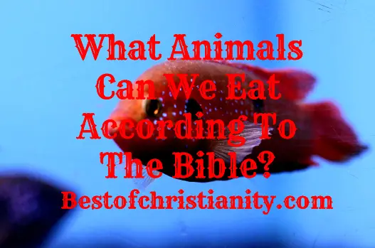 what-animals-can-we-eat-according-to-the-bible