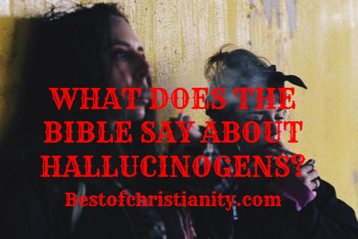 What Does The Bible Say About Hallucinogens