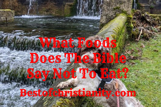 What Foods Does The Bible Say Not To Eat