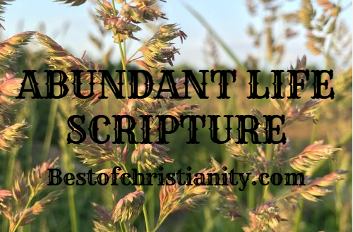 Abundant Life Scripture