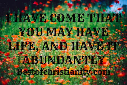 I Have Come That You May Have Life, And Have It Abundantly