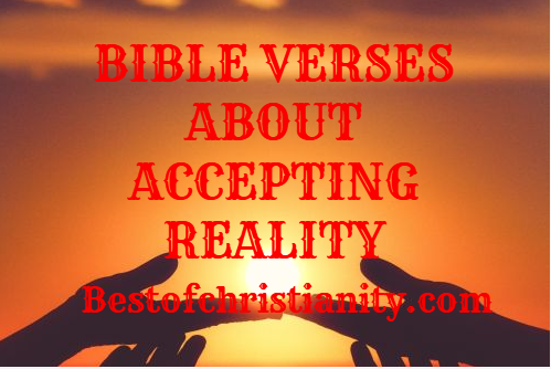 Bible Verses About Accepting Reality