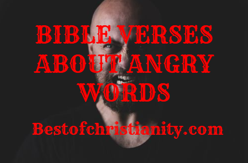 Bible Verses About Angry Words