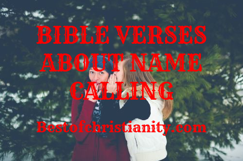 Bible Verses About Name Calling