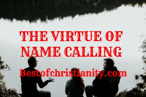 The Virtue Of Name Calling