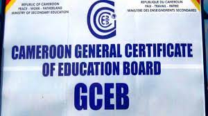 GCE Results 2022