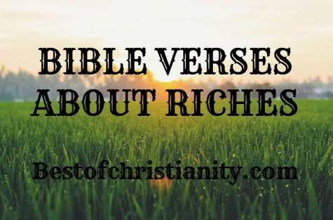 Bible Verses About Riches