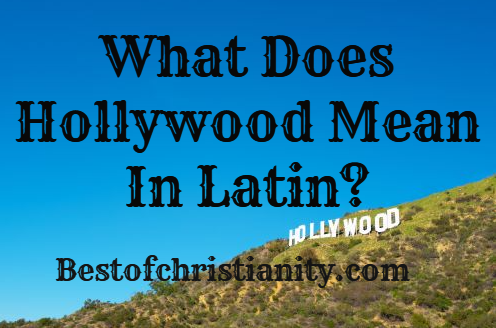 What Does Hollywood Mean In Latin