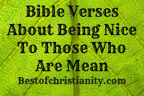 Bible Verses About Being Nice To Those Who Are Mean
