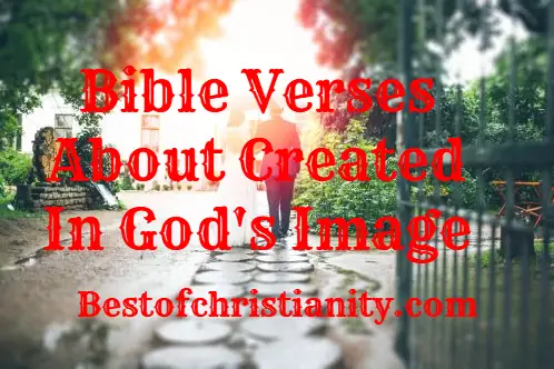 Bible Verses About Created In God's Image