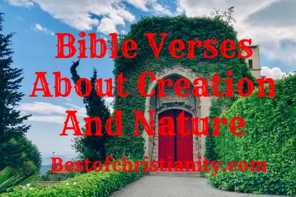 Bible Verses About Creation And Nature