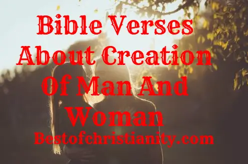 Bible Verses About Creation Of Man And Woman