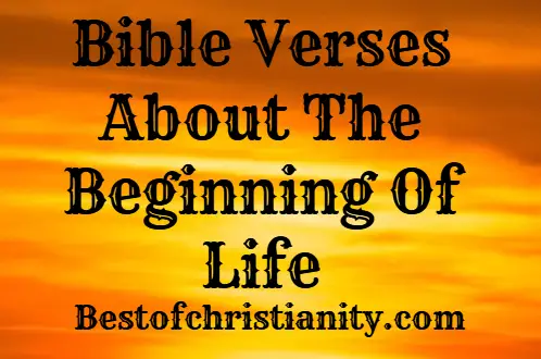 Bible Verses About The Beginning Of Life