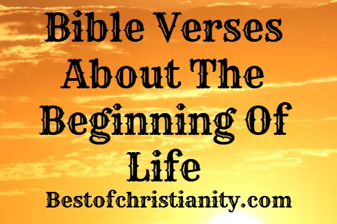 Bible Verses About The Beginning Of Life