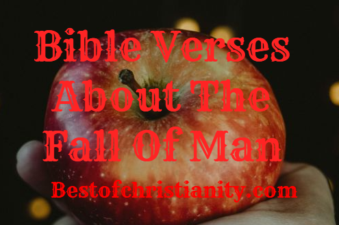 Bible Verses About The Fall Of Man