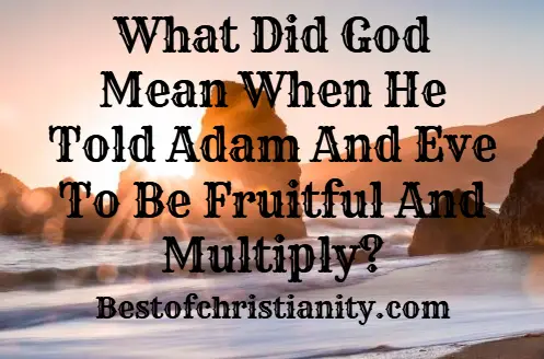 What Did God Mean When He Told Adam And Eve To Be Fruitful And Multiply?