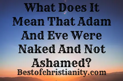 What Does It Mean That Adam And Eve Were Naked And Not Ashamed