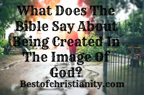 What Does The Bible Say About Being Created In The Image Of God
