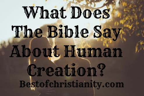 What Does The Bible Say About Human Creation
