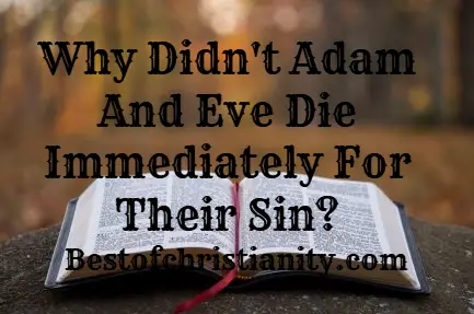 Why Didn't Adam And Eve Die Immediately For Their Sin