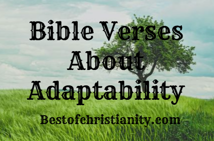 Bible Verses About Adaptability