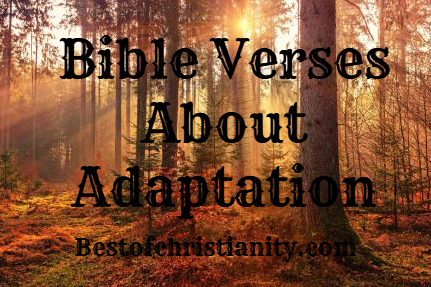 Bible Verses About Adaptation