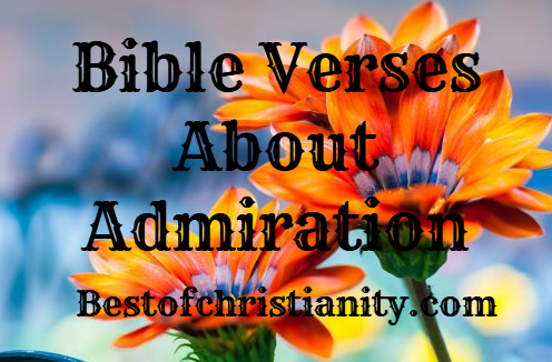 Bible Verses About Admiration