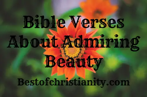 Bible Verses About Admiring Beauty