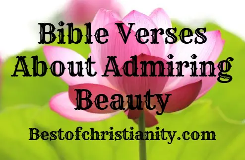 Bible Verses About Admiring Beauty