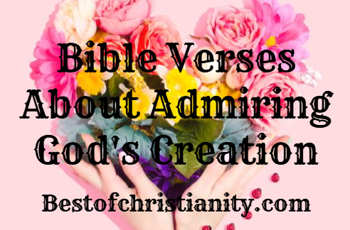 Bible Verses About Admiring God's Creation