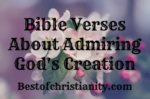 23+ Bible Verses About God's Creation (With Commentary) - Scripture Savvy