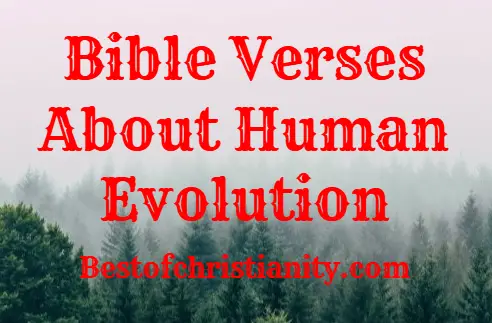 Bible Verses About Human Evolution